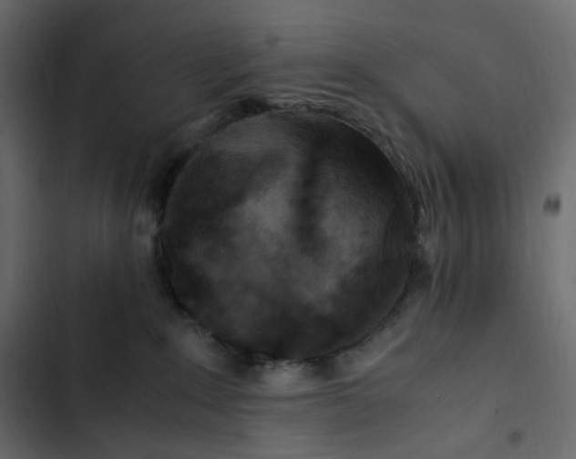 X0000102840235200809021344