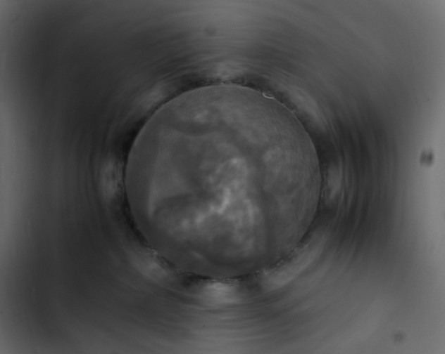 X0000102840236200809021344