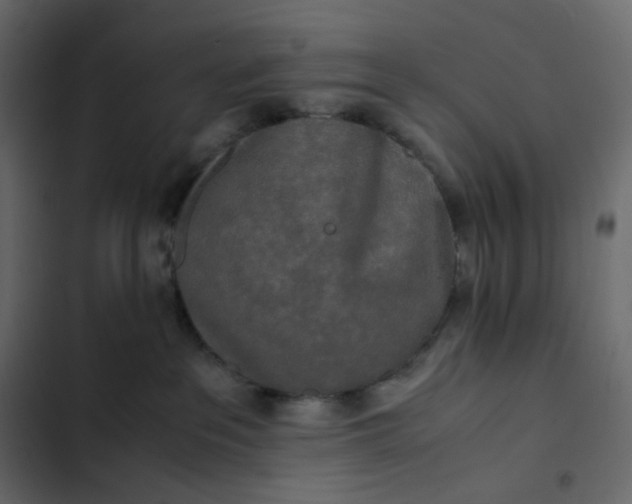 X0000102840237200809021344