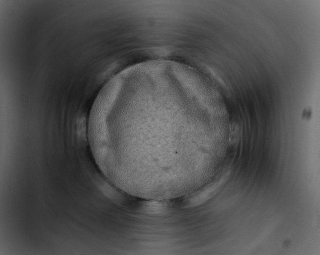 X0000102840238200809021344