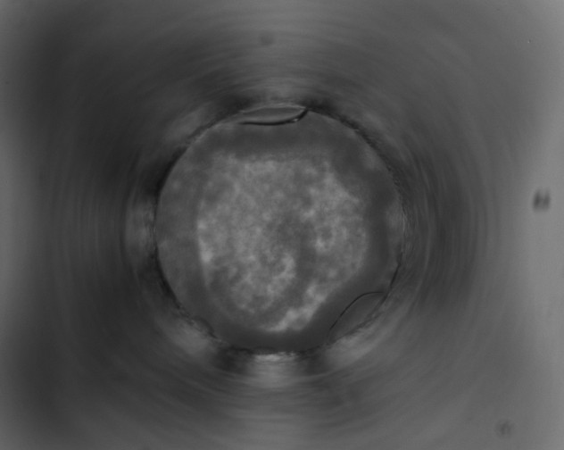 X0000102840240200809021344