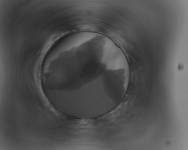 X0000102840241200809021343