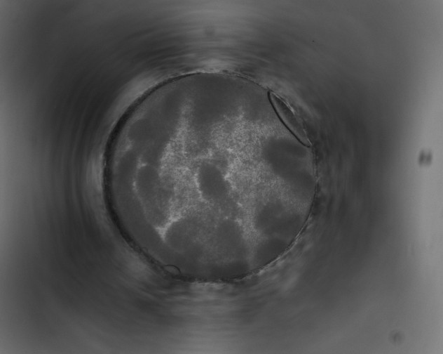 X0000102840242200809021343