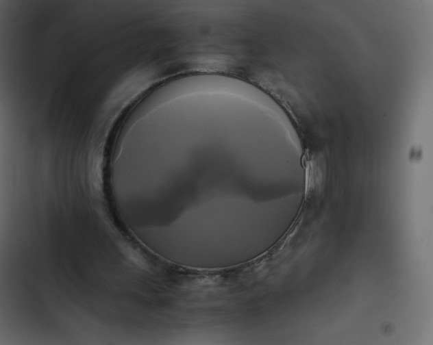 X0000102840243200809021343