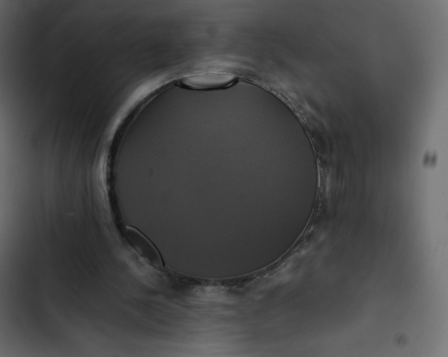 X0000102840244200809021343