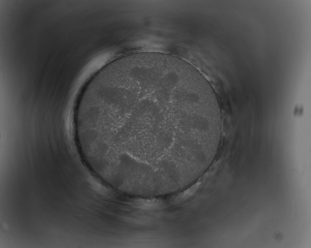 X0000102840245200809021343