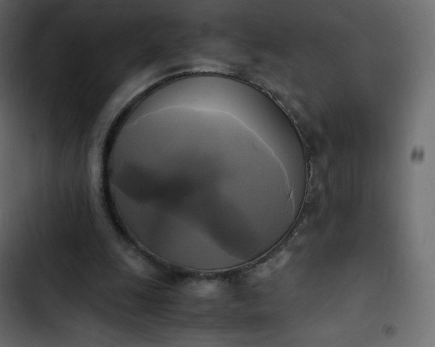 X0000102840247200809021343