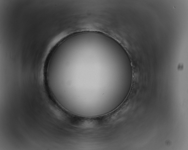 X0000102840248200809021343