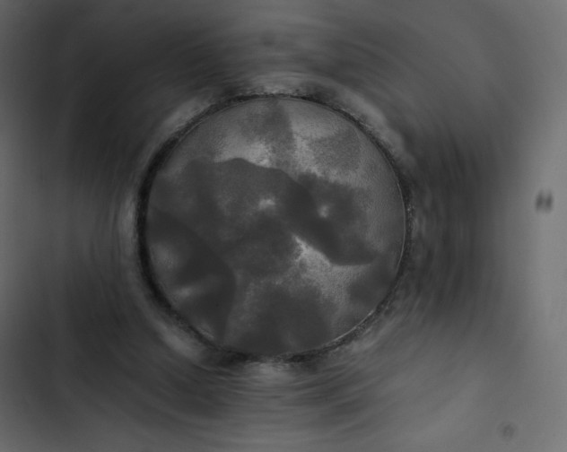 X0000102840250200809021343