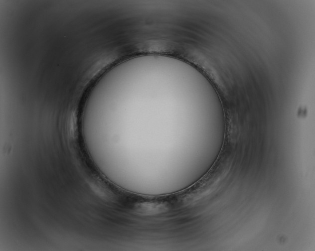 X0000102840251200809021343