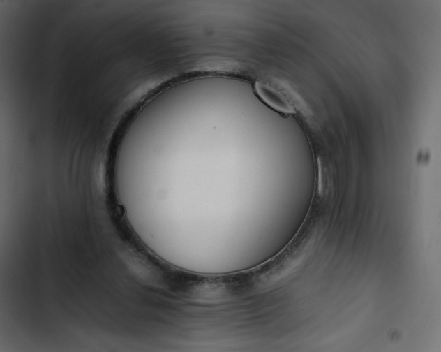 X0000102840252200809021343