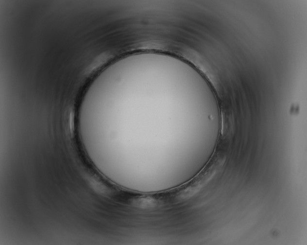 X0000102840253200809021343