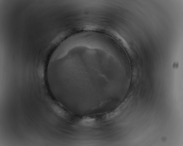 X0000102840257200809021344