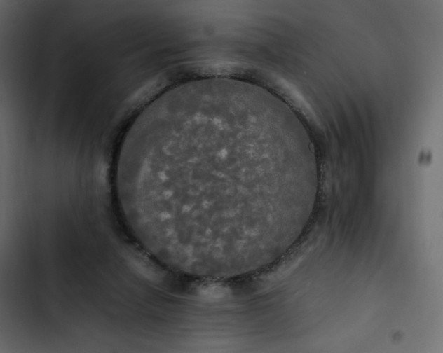 X0000102840258200809021344