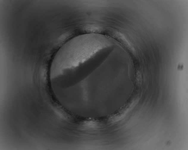 X0000102840259200809021344