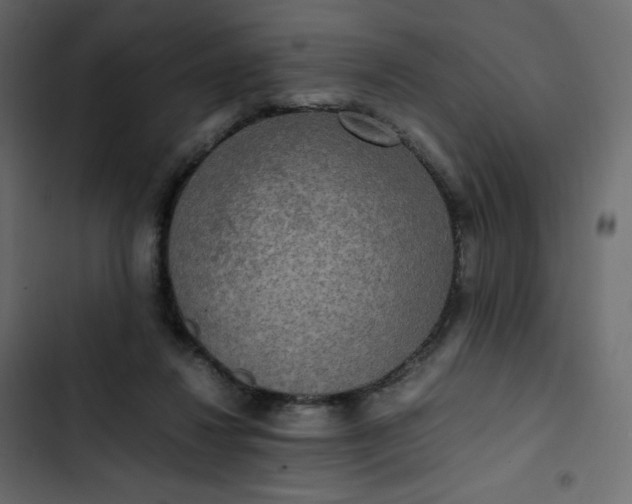 X0000102840260200809021344