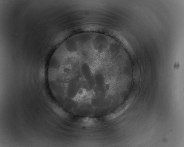 X0000102840261200809021344