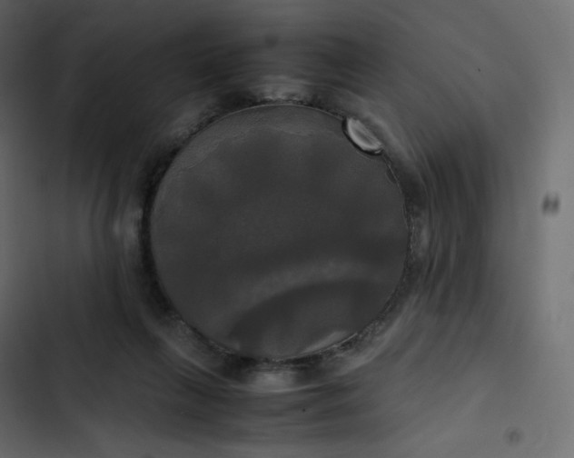 X0000102840263200809021344