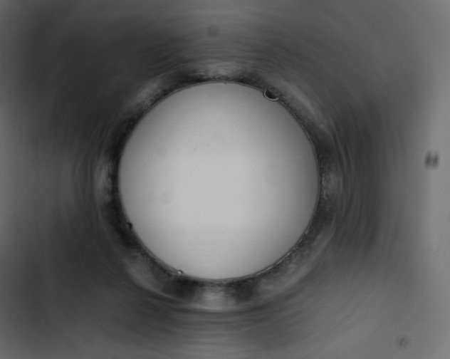 X0000102840264200809021344