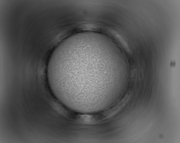 X0000102840265200809021344