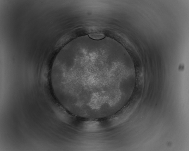 X0000102840266200809021344