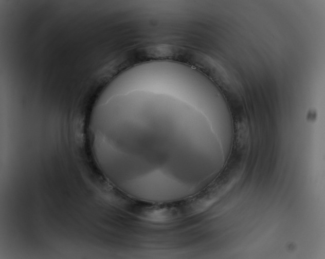 X0000102840267200809021344