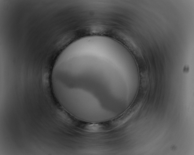 X0000102840269200809021344