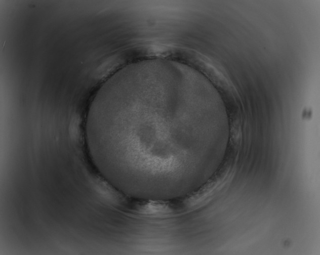 X0000102840270200809021344