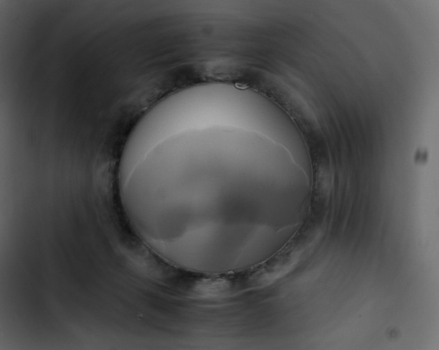 X0000102840271200809021344