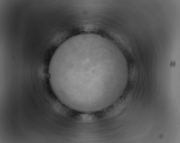 X0000102840272200809021344