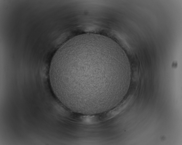 X0000102840273200809021344