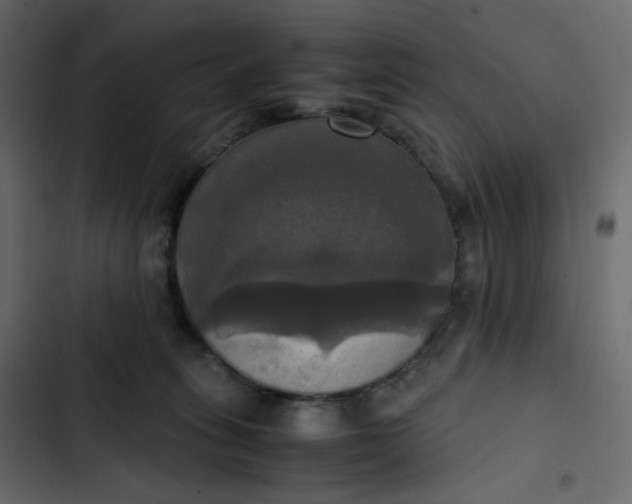 X0000102840275200809021344