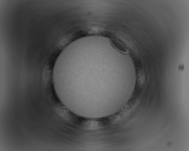 X0000102840276200809021344