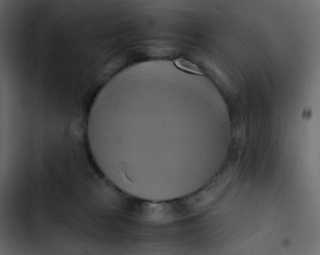 X0000102840277200809021344