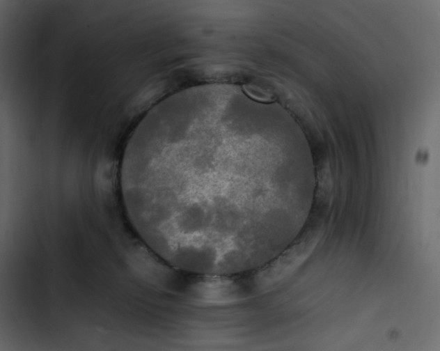 X0000102840278200809021344