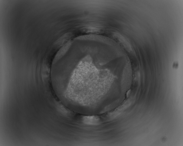 X0000102840281200809021344