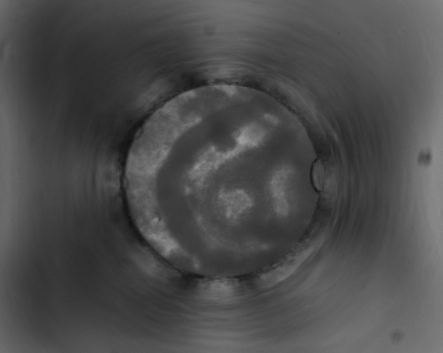 X0000102840282200809021344