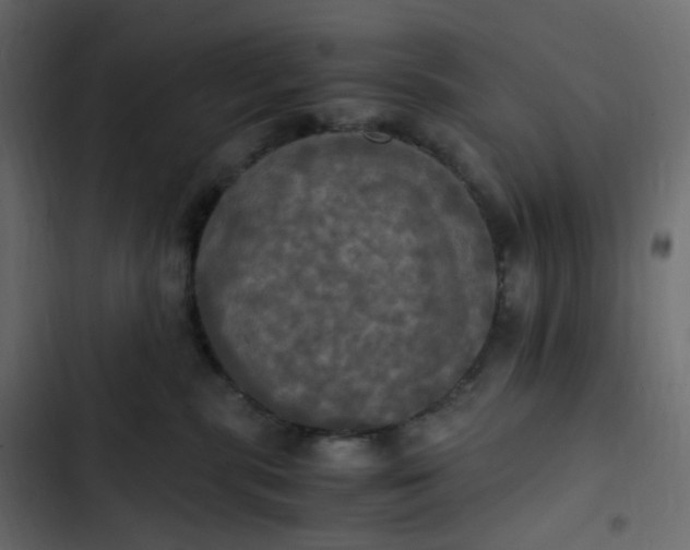 X0000102840283200809021344