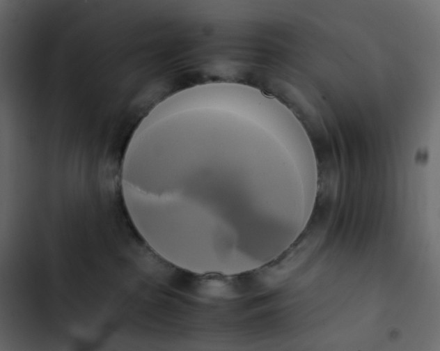 X0000102840285200809021344