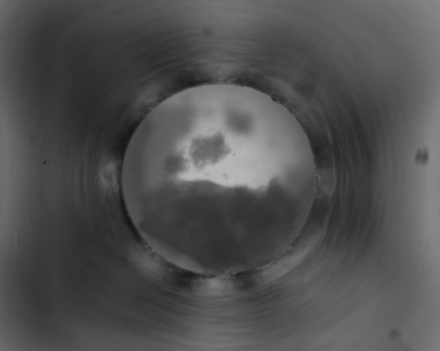 X0000102840286200809021344