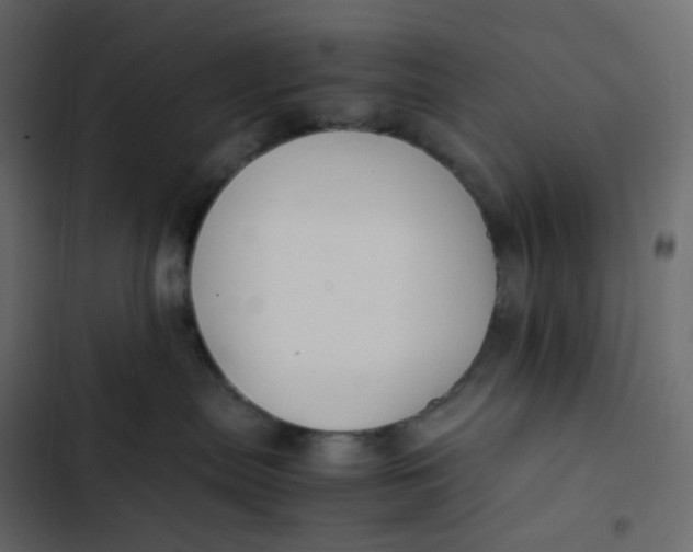 X0000102840287200809021344