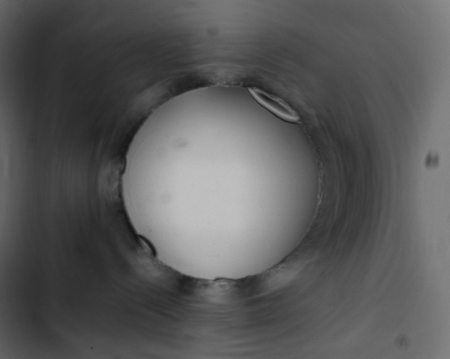 X0000102840288200809021344