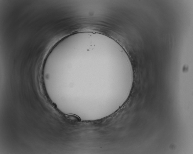 X0000102840289200809021343