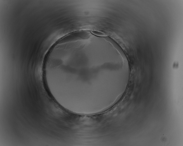 X0000102840290200809021343