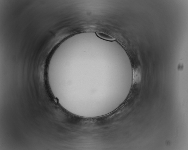 X0000102840291200809021343