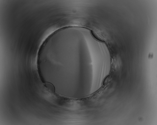 X0000102840292200809021343