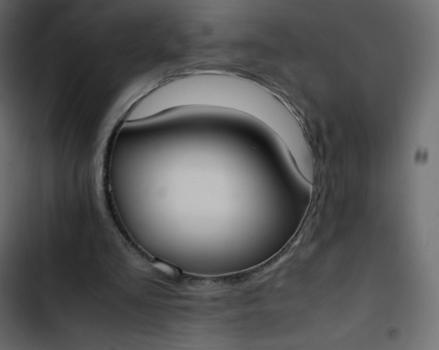 X0000102840293200809021343