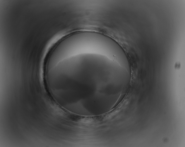 X0000102840294200809021343