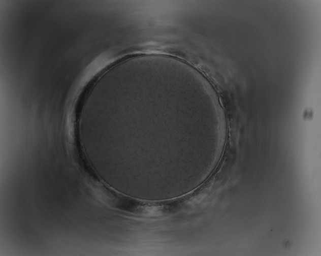 X0000102840295200809021343