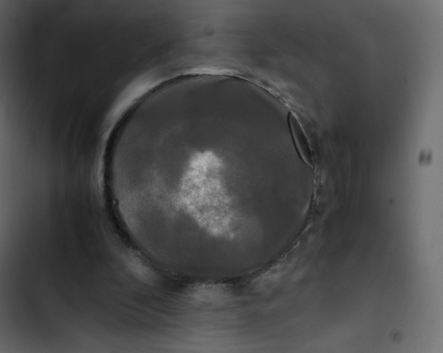 X0000102840296200809021343